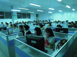 青岛职业技术学院软件与服务外包学院 培养软件外包服务专业人才的摇篮