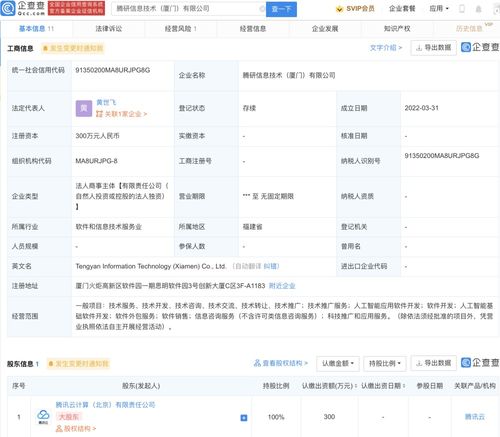 软件外包服务 提升企业效率与创新的关键策略