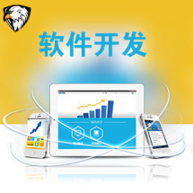 软件外包服务报价指南 从高到低九品价格体系详解