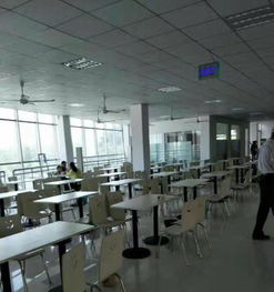 工厂食堂与软件外包服务 泉州600人工厂外包实践解析